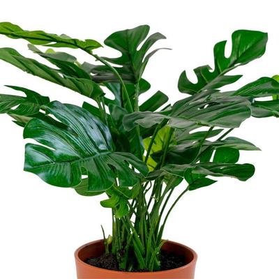 Artificial Monstera Deliciosa 45 Cm