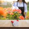 Multi-Purpose Faucet Plant Nutrient Solution Tank Connection Versatile Compatibility Robust Plastic Construction Plant Tool