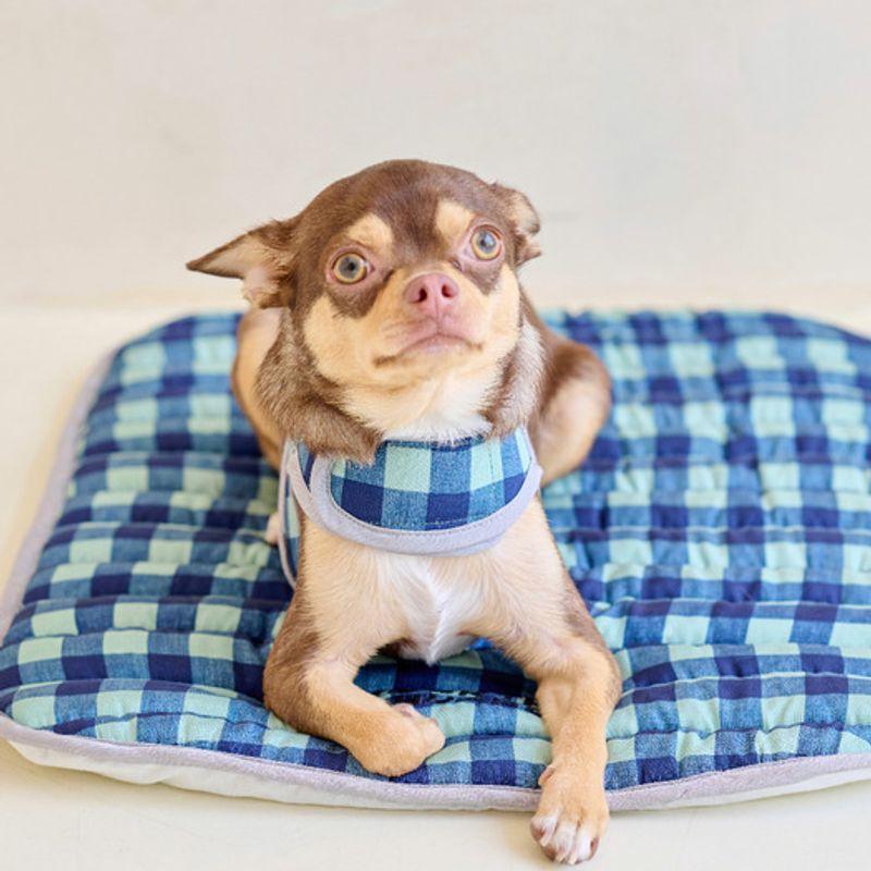 CROOKTHECHIHUAHUA Ice Summer Rayon Cool Harness - Olive Green