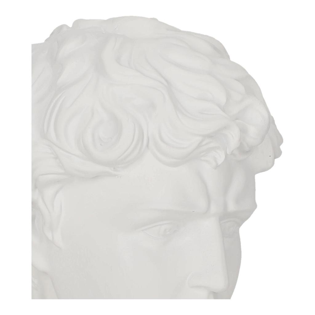 DECORATION white head of David made of plastic CLASSIC