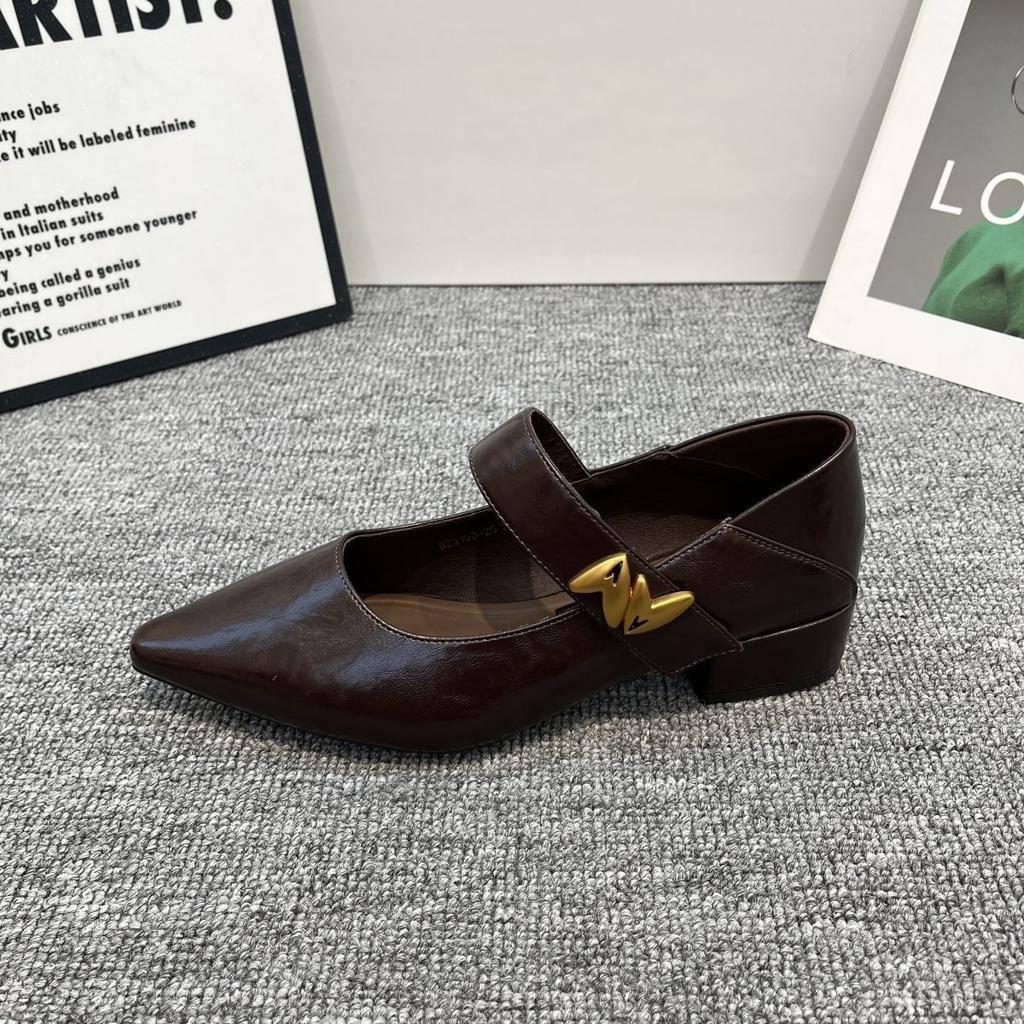 French thick heel single shoes women's 2025 autumn new metal buckle pointed head shallow mouth foreign style word with Mary Jane women's shoes