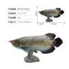 Solid Static Simulation Marine Animal Model Plastic Ornament Golden Arowana Silver Arowana Children'S Toy Figure