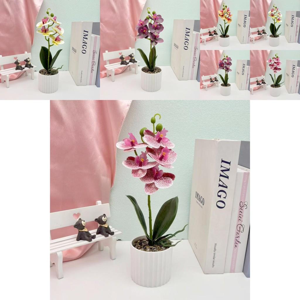 Indoor Orchid Plant Artificial Greenery For Wedding Home And Commercial Spaces