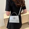 Chic Street Style Small Crossbody Bag For Women Trendy 2024 Pu Leather Handbag