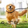 Adjustable Pet Harness Breathable Pet Lead Leash Durable Cat Traction Rope  Walking