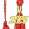10 Pieces Graduation Tassels for School Memorial Grad with Gold Charm