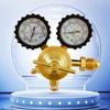 Easy to Operate Nitrogen Pressure Reducer Featuring Included Inflation Hose for Quick Connection Applications in Workshops