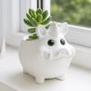 Creativity 3D Wild Boar Cement Mold Silicone Cartoon Planter Sillicone Mold Easy To Use DIY Craft Storage Tank Mold Home Decor