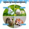 Small Animal Drinking Water System NonSpill Design Easy Installation Rabbit Hutch Waterer Kits Cage Accessories
