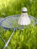 3 Stück Badminton Federball King Duck Federbälle Weißes Trainingsball Federball Hohe Geschwindigkeit Badmintonbälle