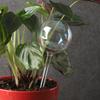 Blumenbewässerer Hohes Borosilikatglas Automatische Pflanzenbewässerungskugeln für Zimmerpflanzen auf dem Balkon Garten Orchideen