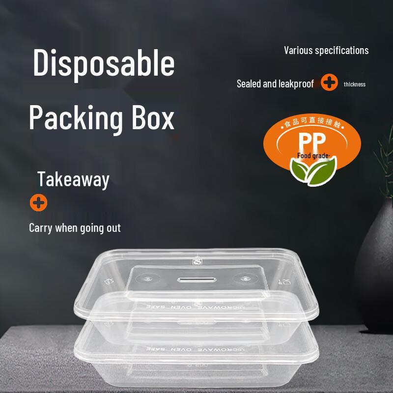 WS Disposable Rectangular Food Container