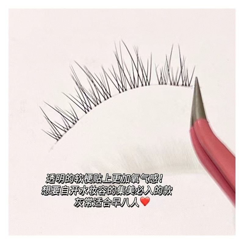 Aimo - 5-Pair Set: False Eyelashes