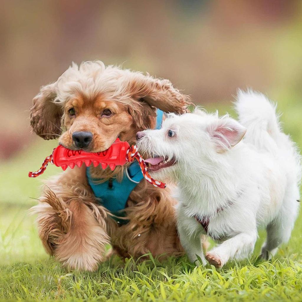 Dog Toys For Aggressive Chewers Boredom Supplies Puppy Teething Toys With Rope For Puppy Dog Pet Aggressive Chewers Small Breed