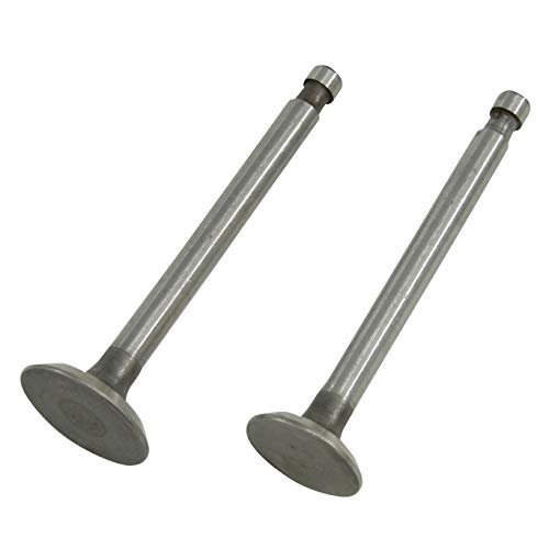 

SHIN NIPPON VALVE Клапан двигуна C50C 14721-GB2-000 14711-GB2-000