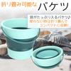 Clam Digging Kit for Families and Friends (2-4 People): Includes Clams, Rake, Shovel, and Folding Bucket (Green)