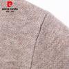 Pierre Cardin Men's Thickened V-Neck 100% Wool Sweater
