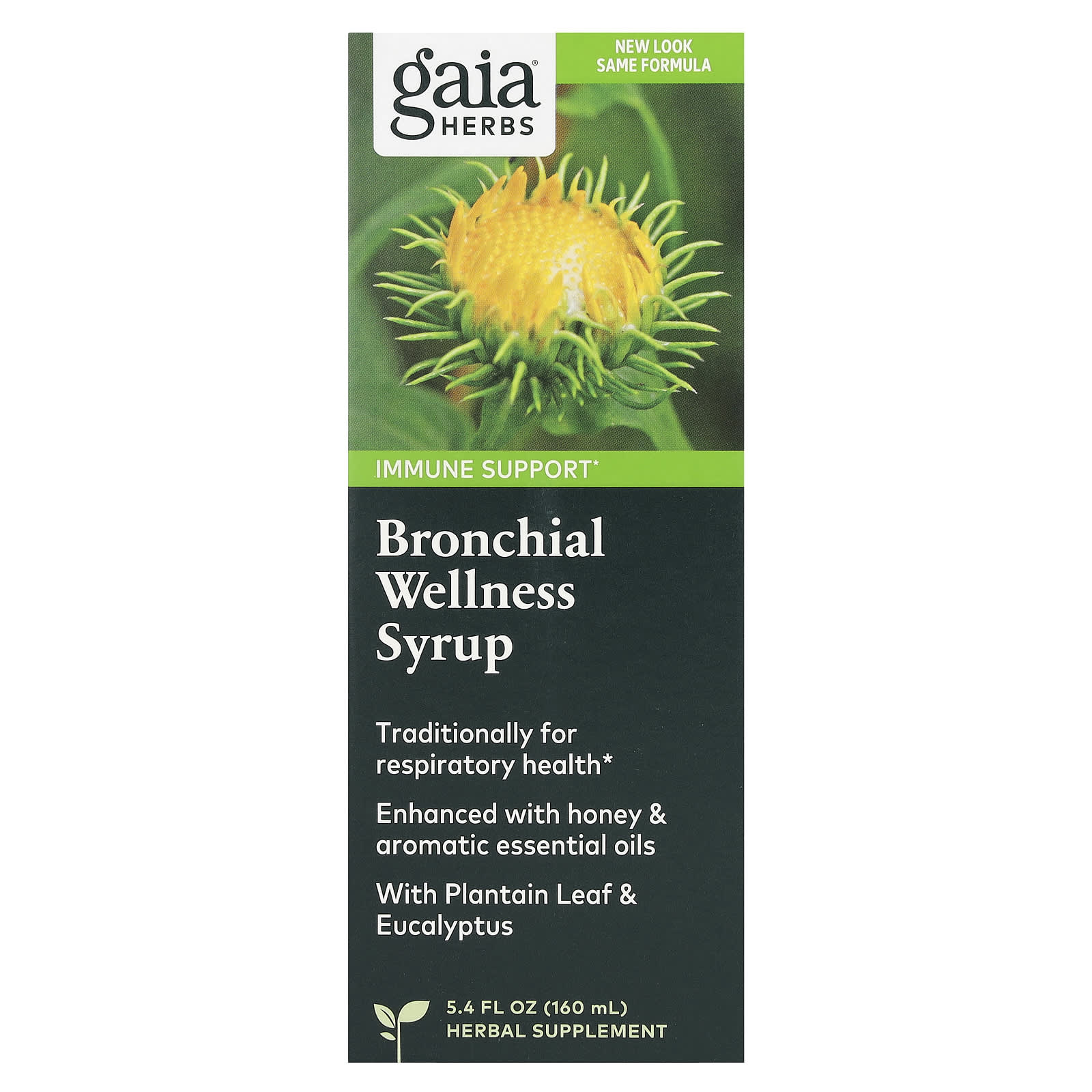 

Gaia Herbs, Bronchial Wellness Syrup, 5.4 fl oz (160 ml)