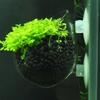Aquarium Decoration Plant Cup Pot Glass Aquatic Plant Cup With Suction Holder Planting Cylinder Cup Aquarium Accessories