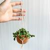 Rearview Mirror Charms- Knitted Small Hanging- Plant for Car Home-Decoration