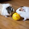 Leckerliball für Haustiere, Verstellbarer Leckerliball, Rollender Ball Slow Feeder, Beschäftigungsspielzeug für Meerschweinchen Kaninchen Mäuse Igel