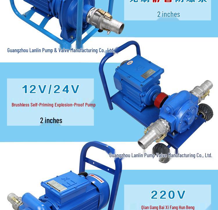 Single-phase Explosion-proof Vertical Pipeline Pump, 220V, Stainless Steel 304, for Gasoline and Diesel Transfer.