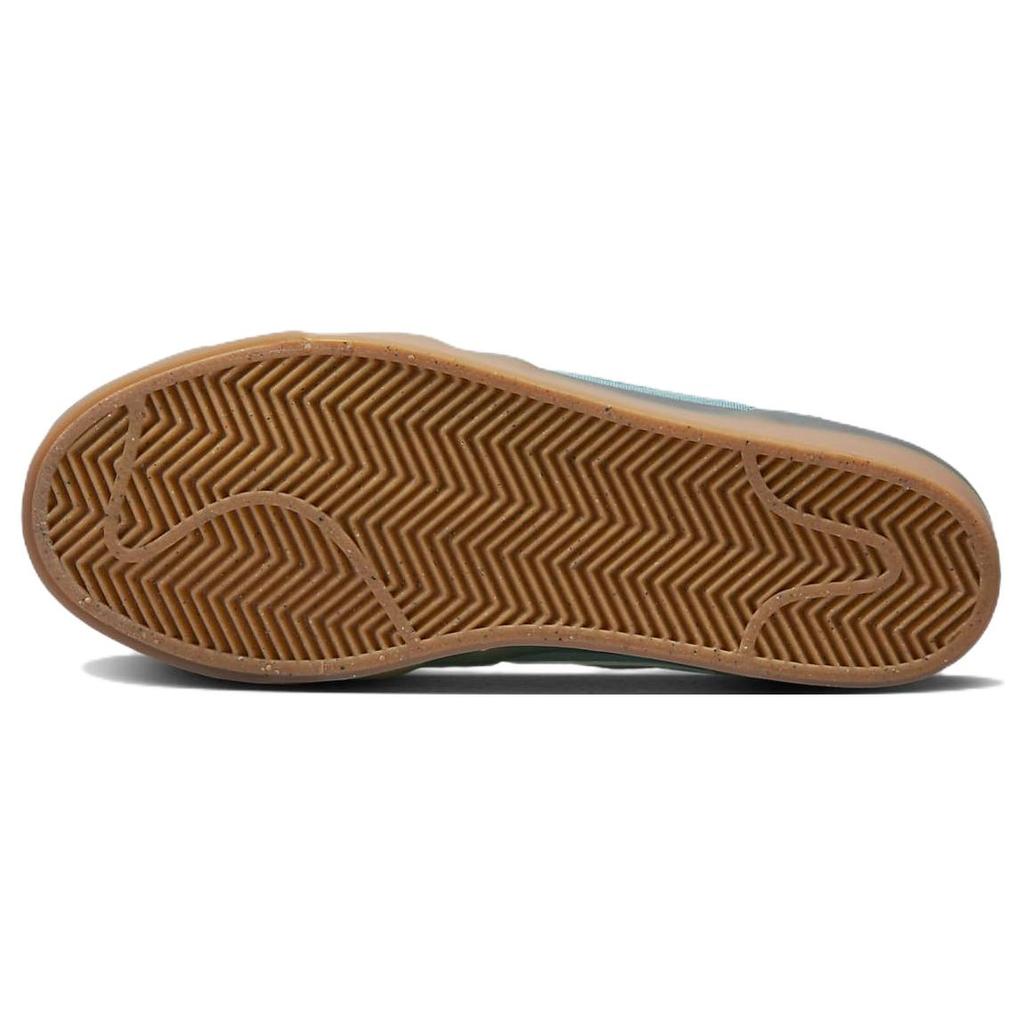 New Nike Sb Zoom Pogo Plus Noise Aqua Women's DV5469-401