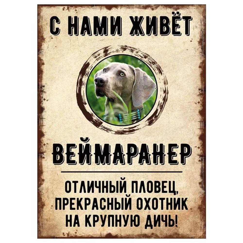 Schild, dekorativ, GEFAHR HUND, Schnauzer lebt bei uns, 20x30cm