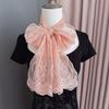 Solid Color Women's Lace Scarf Embroidered Flower Korean Version Scarf  Women's Accessory