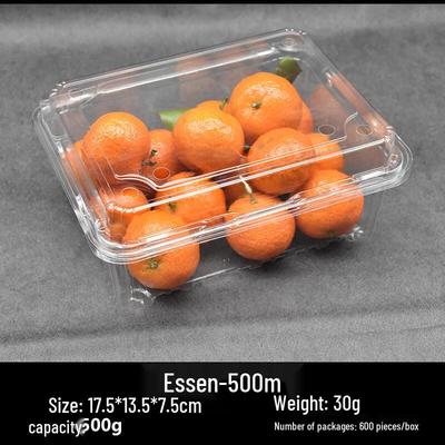 Disposable Fresh Food Container