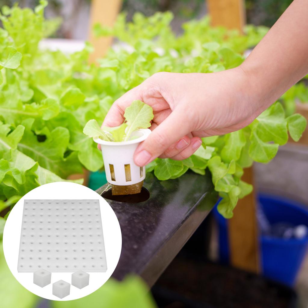 400 Pcs Hydroponic Sponges Planting Gardening Tool Soilless Cultivation Seedling