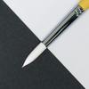Sakura Craypas Paint Sebron Sebron R12 10 brushes Brush, No. 12, (10),