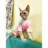Sphinx Hairless Cat Clothes Deven Breathable T-shirt For Cats Stretch Fabric Clothing For Kitten Pet Shirt Coats For Puppy