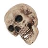 Bristol Novelty Skull Decoration