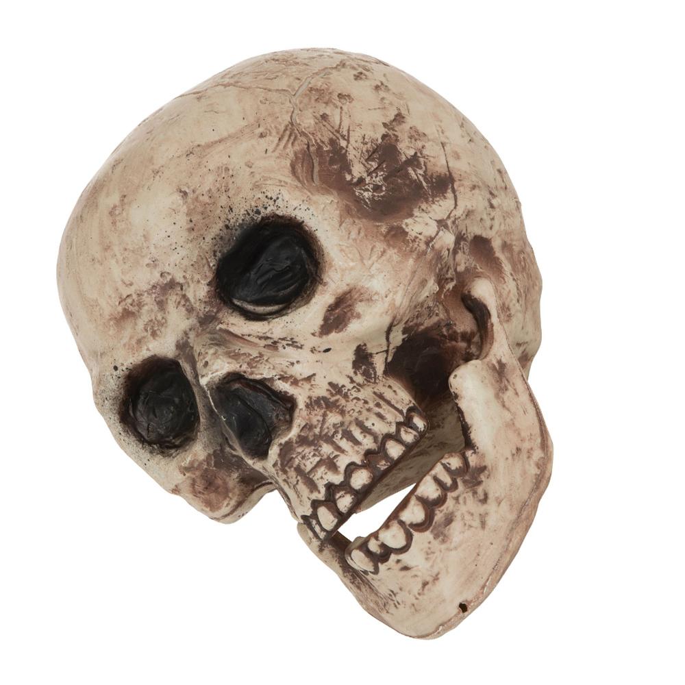 Bristol Novelty Skull Decoration