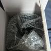 BTS BEYOND THE STORY (unopened, Includes Bonus Cup)