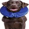 Aufblasbarer PVC-Halsring für Hunde - Warm, Weich, Leckschutz & Verstellbar