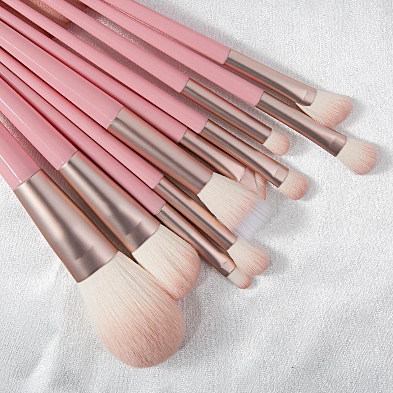 10pcs Professional Makeup Brush Set with Accessories for Combination Skin- Featuring Soft Brushes Suitable for Beginners