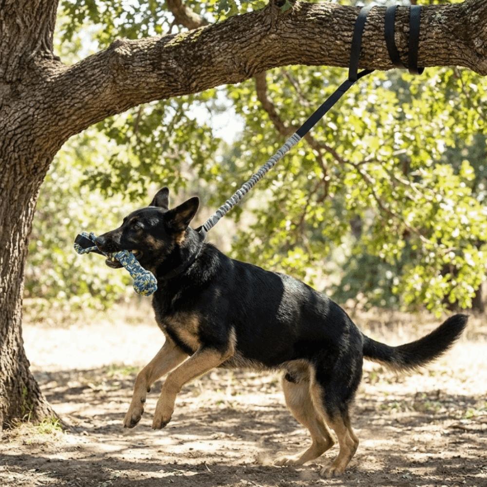 Hanging Pet Dog Tug of War Rope Interactive Outdoor Rope Pulling Toy Dog Elastic Pull Toy Exercise