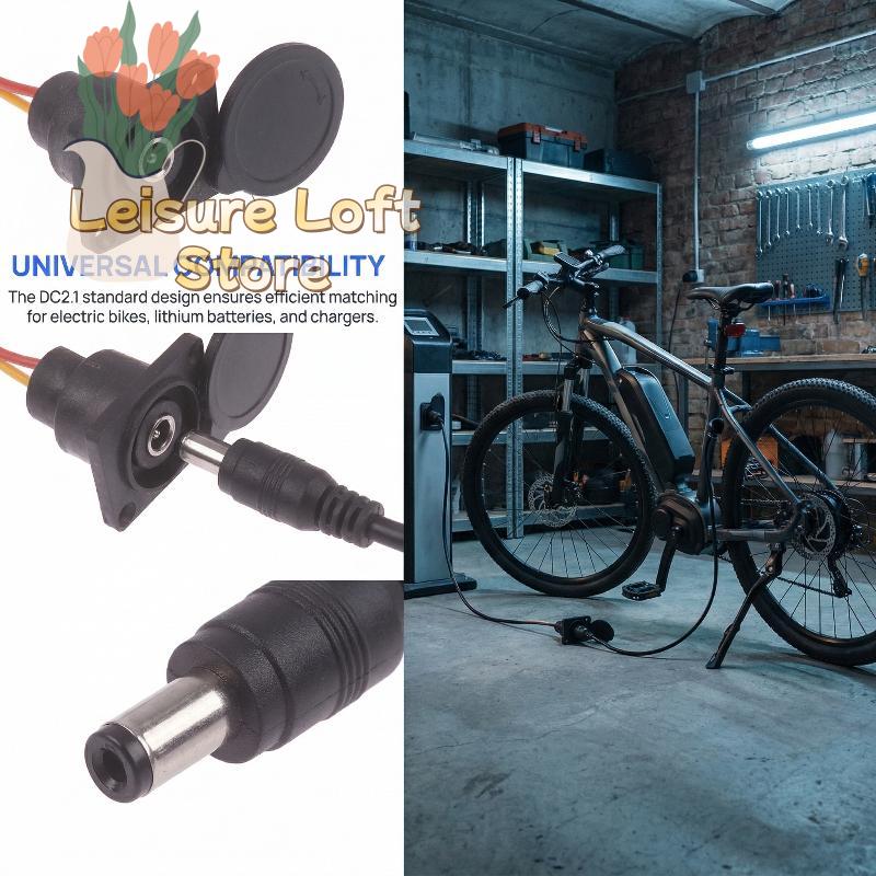 Elektrofahrrad Ladegerät Stecker DC2.1 DC2.5 für 36V 48V Li-Ionen Akku Premium Runder Stecker für Outdoor Schnellladung