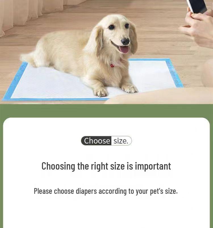 Thickened, Deodorizing Pet Training Pads - Absorbent, Leak-Proof, Disposable Dog & Cat Diapers