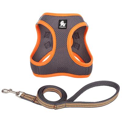 Paradise Pet Harness and Leash Reflective Adjustable Easy To Put On and Take for Small Dogs and Truelove J&C Set, Mesh, Lightweight, Material, Size,