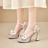 Fashion French Silver Platform Heels Women's Summer Round Toe Flower One Buckle Block Heel Sandals