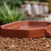 Anti-Slip Turtle Bath Basin Plastic Turtle Bath Tub Food Bowl Tortoise Water Dish  Terrarium Setup