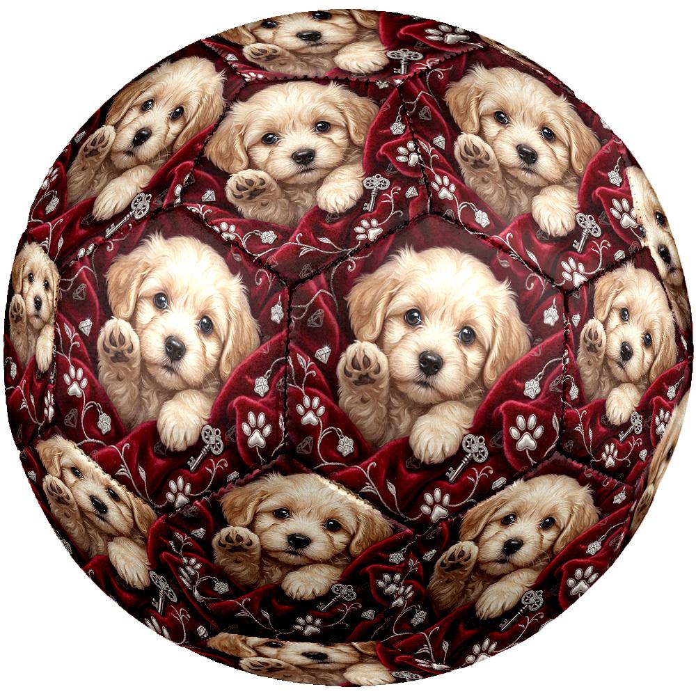1pc Paw Prints Keys Size 5 Soccer Ball Professional Lightweight Durable Match Training Football Indoor &Outdoor Sports BallTraining Ball y80