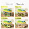Children's Insect Observation Box: Soft Plastic Butterfly, Mantis, Bee Simulation Set