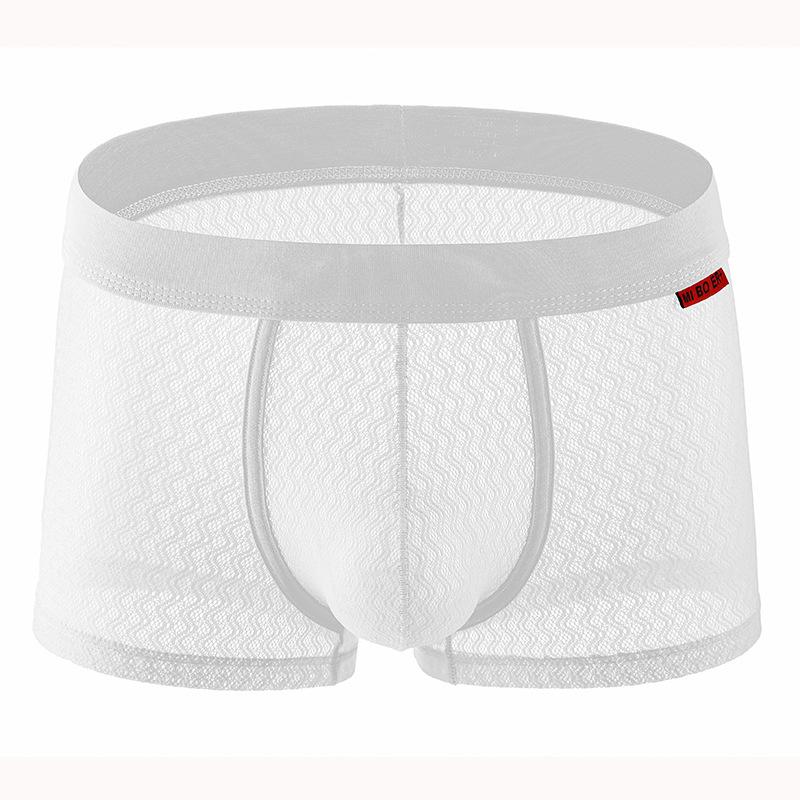 Men Trunks Mesh Transparent Underwear Ultra-Thin Breathable Boxers Summer Quick-Drying Panties Convex Pouch Lingerie Underpants