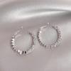 Women's Unique Crystal Round Hoop Earrings