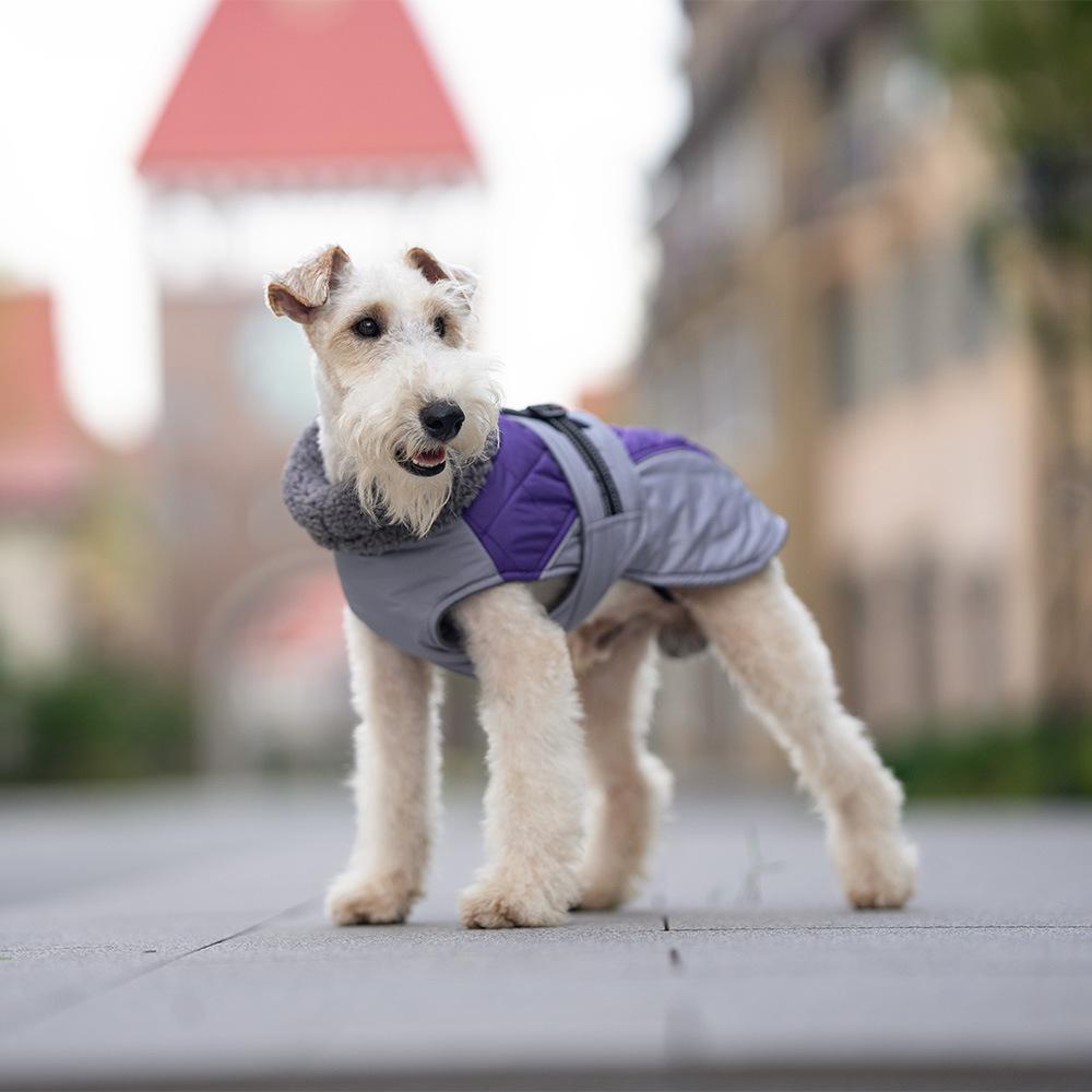 Pet Clothes Are Hot on Amazon, Warm in Autumn and Winter, Windproof and Thickened Dog Clothes, Medium and Small Dog Teddy Pomeranian