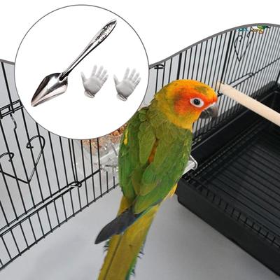 Bird Feeder Spoon Hand Tool Accessory, Portable Metal, Sturdy Professional, Practical Premium